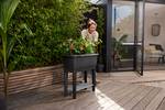 noa potager sur pied living noir